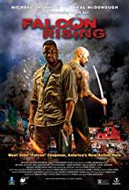 Falcon Rising 2014 Dual Audio Hindi 480p 300MB Filmy4Wap