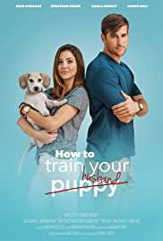 How To Train Your Husband 2017 Hindi Dubbed Filmy4Wap