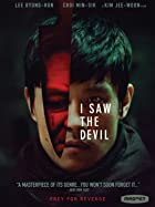 I Saw the Devil 2010 Hindi Dubbed 480p 720p 1080p Filmy4Wap