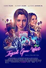 Ingrid Goes West 2017 Dual Audio Hindi 480p 300MB Filmy4Wap