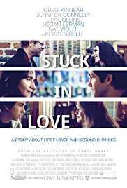 Stuck In Love 2012 Dual Audio Hindi 480p 300MB Filmy4Wap