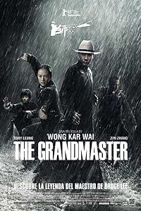 The Grandmaster 2013 Hindi Dubbed Chinese English 480p 720p 1080p Download Filmy4Wap