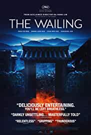 The Wailing 2016 Dual Audio Hindi 480p Filmy4Wap